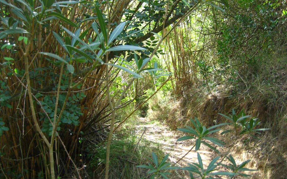 Photo of Others in Pedralba