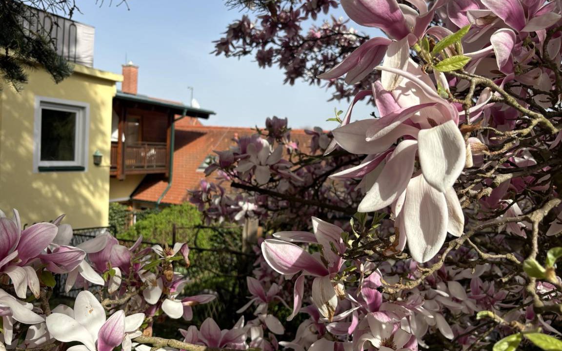 Photo of Outdoor in Fehring