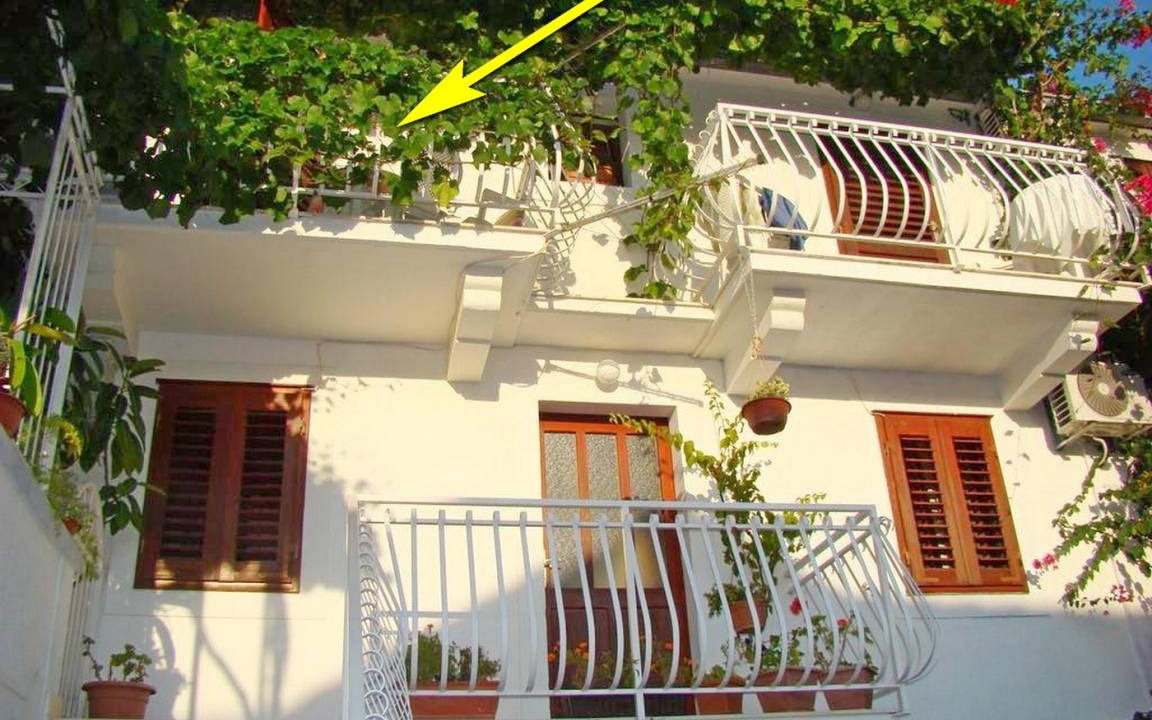 Photo of Others in Vis