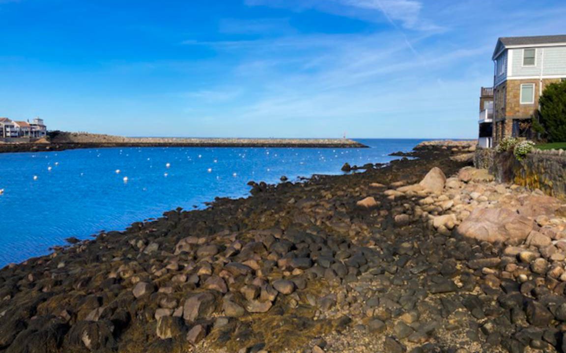 Photo of Others in Rockport