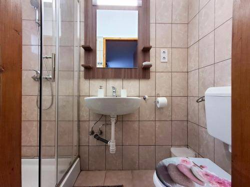 Photo of Bathroom in Sarospatak