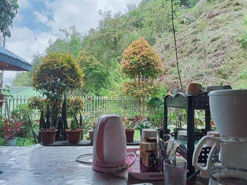 Photo of Others in Banaue