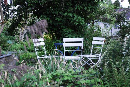 Photo of Others in Zuchwil