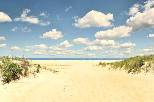 Photo of Others in Northeast Virginia Beach