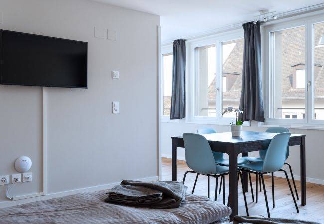 Photo of Livingroom in Basel City Centre