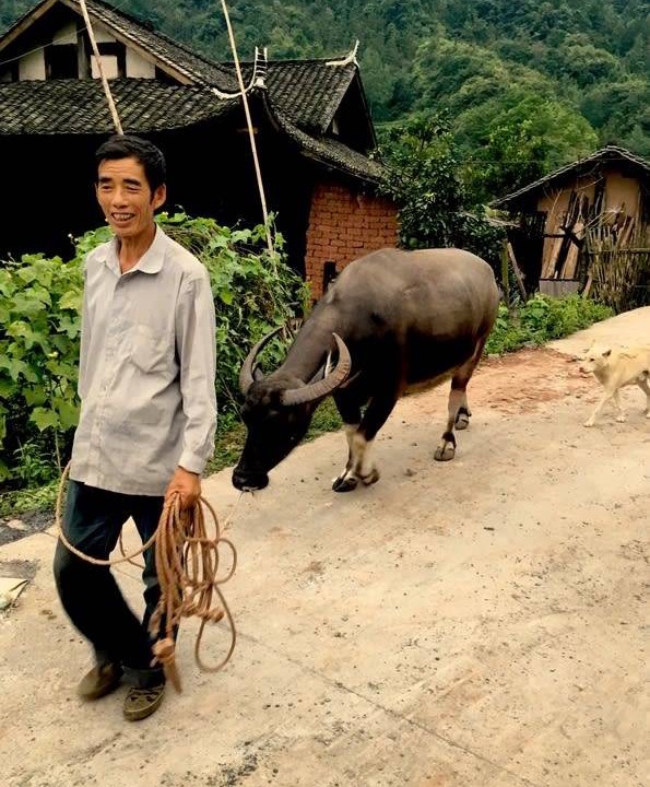 Photo of Others in Yongding