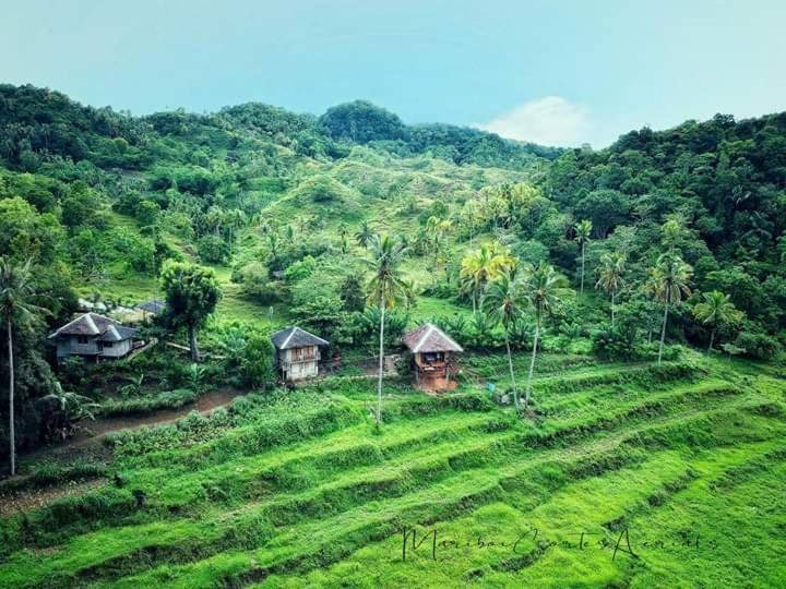 Photo of Others in Siquijor