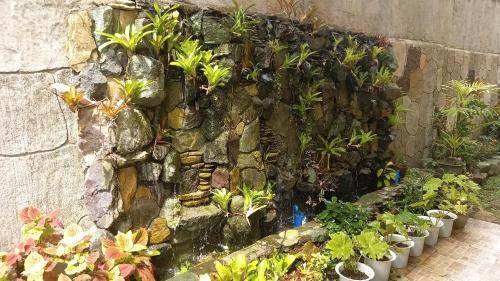 Photo of Others in Canlubang