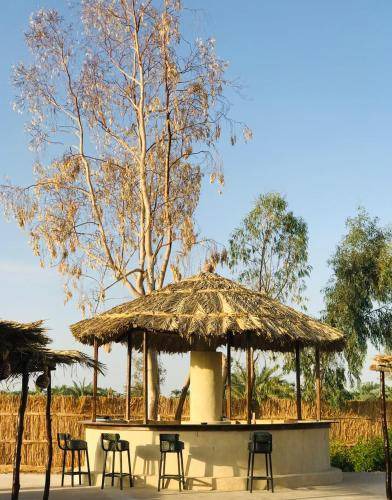 Photo of Others in Siwa
