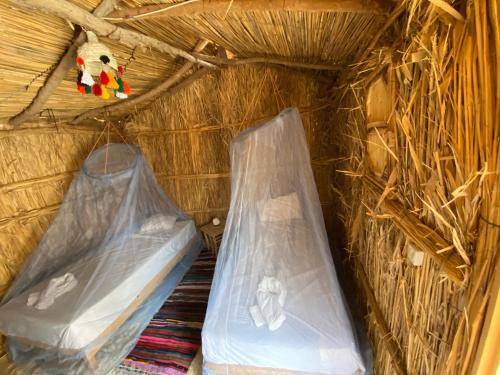 Photo of Others in Siwa