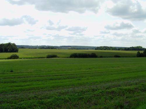 Photo of Others in Ploermel
