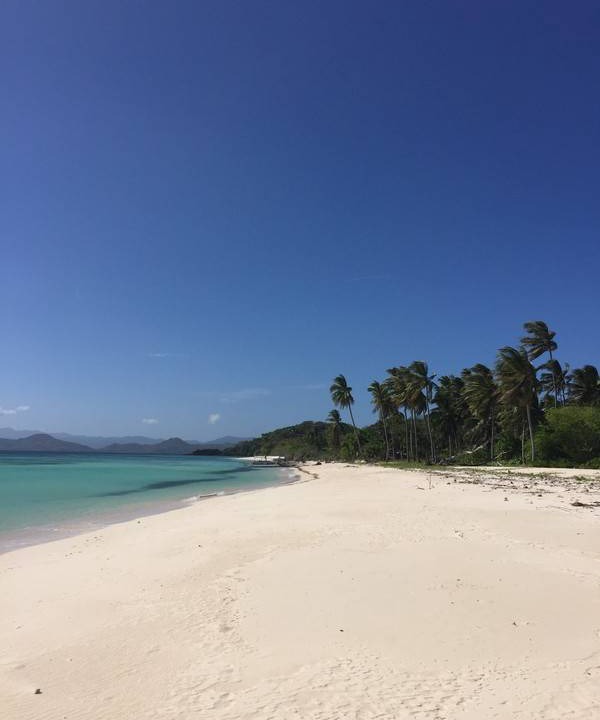 Photo of Others in El Nido