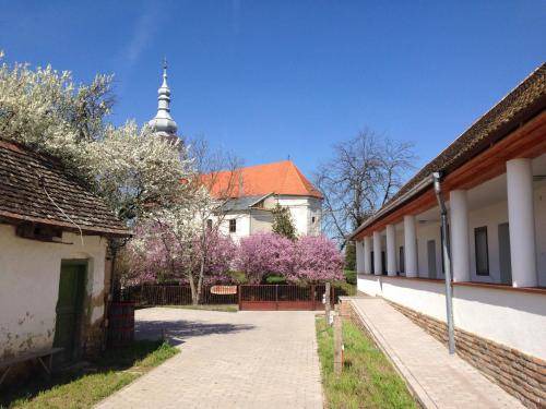 Photo of Buildings in Regoly