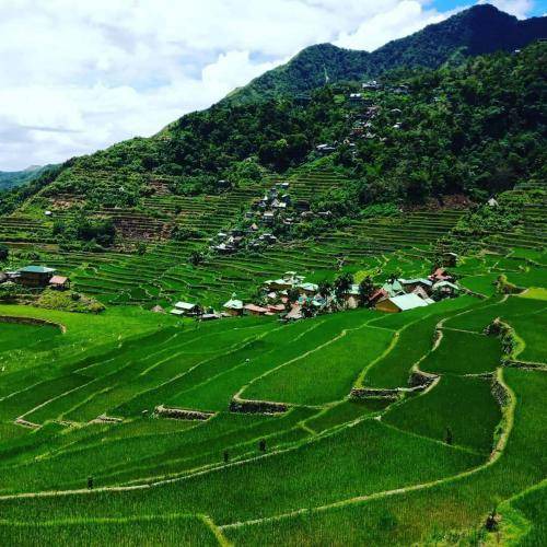 Photo of Others in Batad