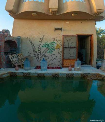 Photo of Others in Siwa