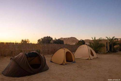 Photo of Others in Siwa