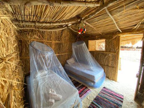 Photo of Others in Siwa