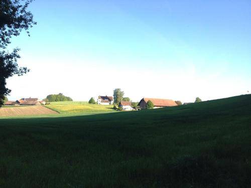 Photo of Others in Zuchwil
