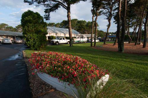 Photo of Others in Wellfleet