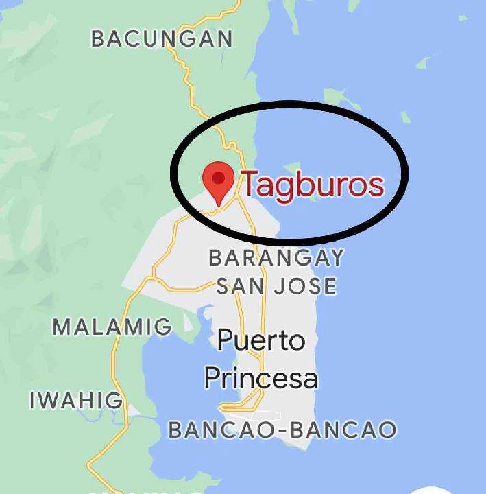 Photo of Others in Puerto Princesa