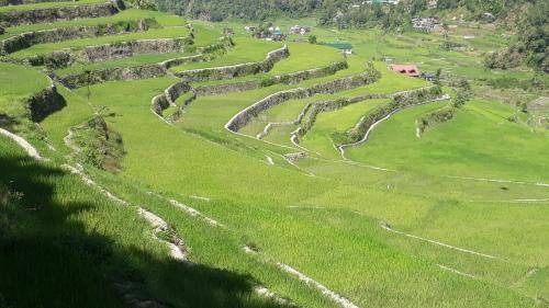Photo of Others in Banaue