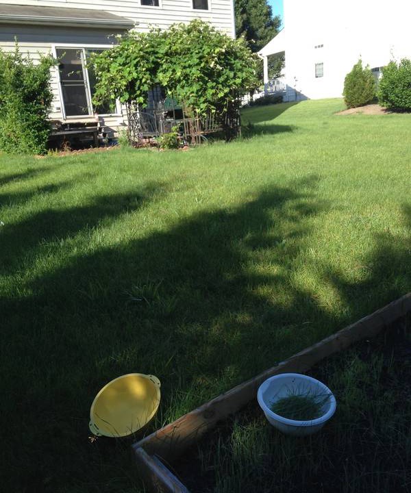 Photo of Outdoor in Leesburg