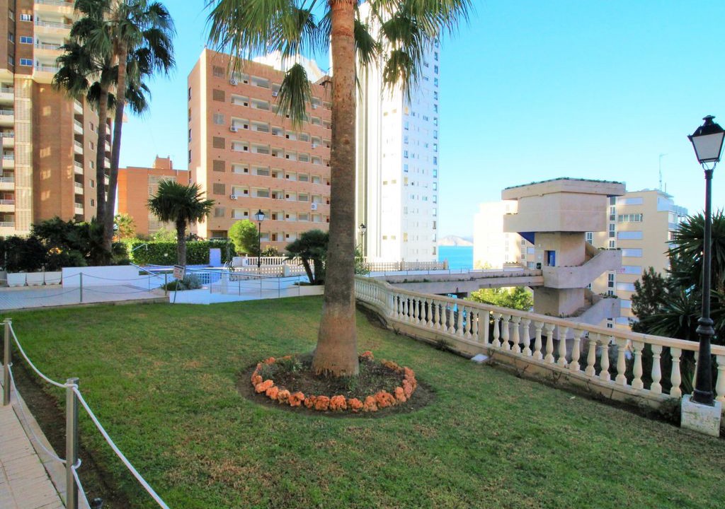 Photo of Buildings in Benidorm