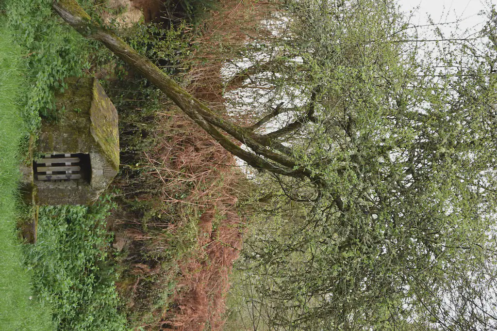 Photo of Outdoor in Larmor-Baden