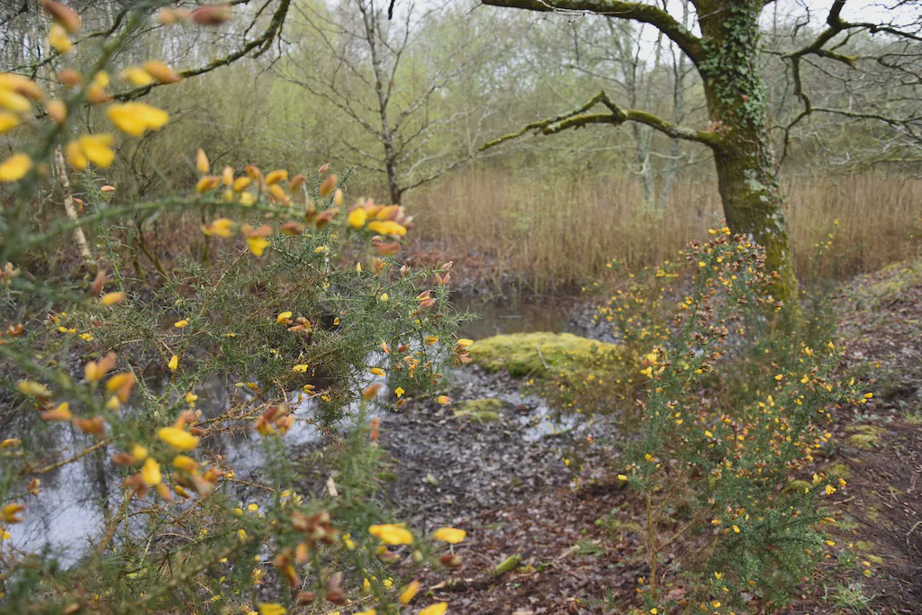 Photo of Outdoor in Larmor-Baden