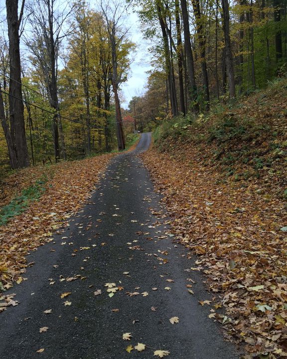 Photo of Outdoor in Moravia