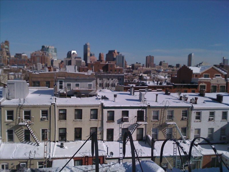 Photo of Others in Carroll Gardens