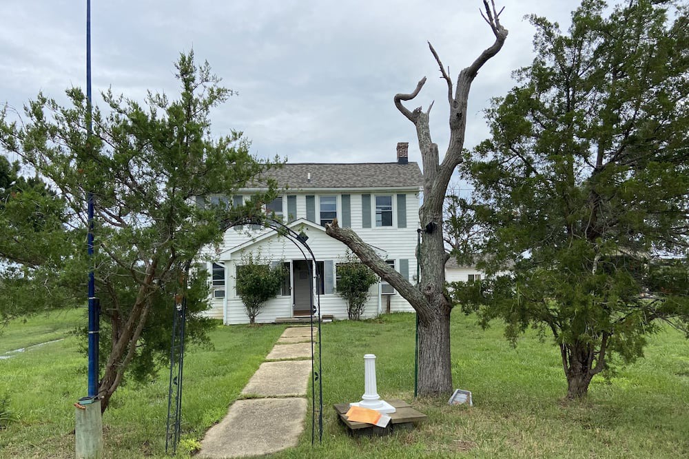 Photo of Outdoor in Piney Point