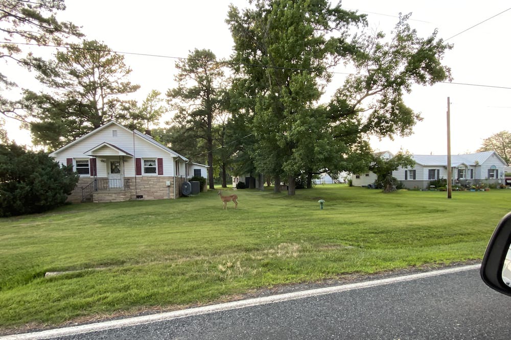 Photo of Others in Piney Point