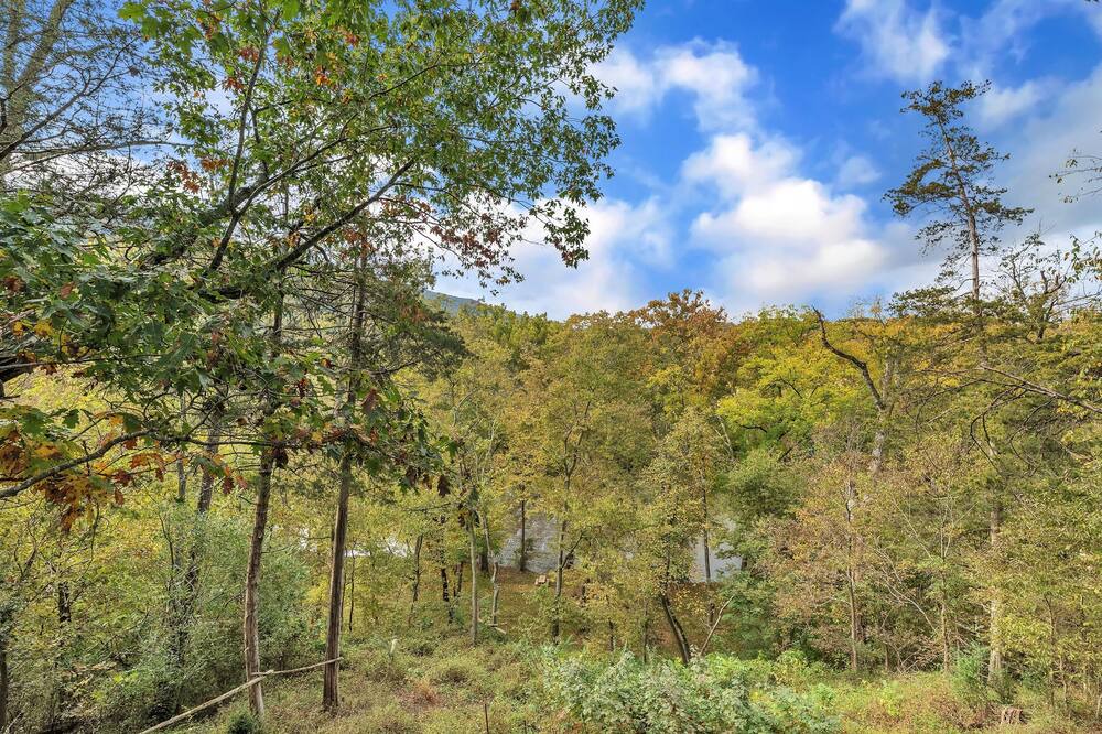Photo of Outdoor in Fishers Hill