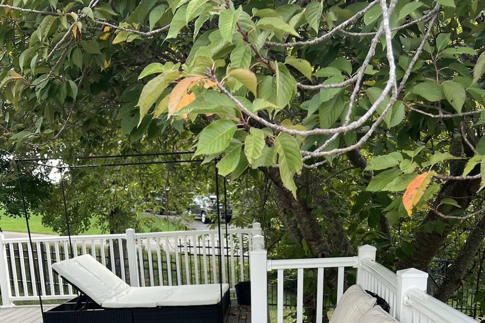 Photo of Patio Balcony in Lorton