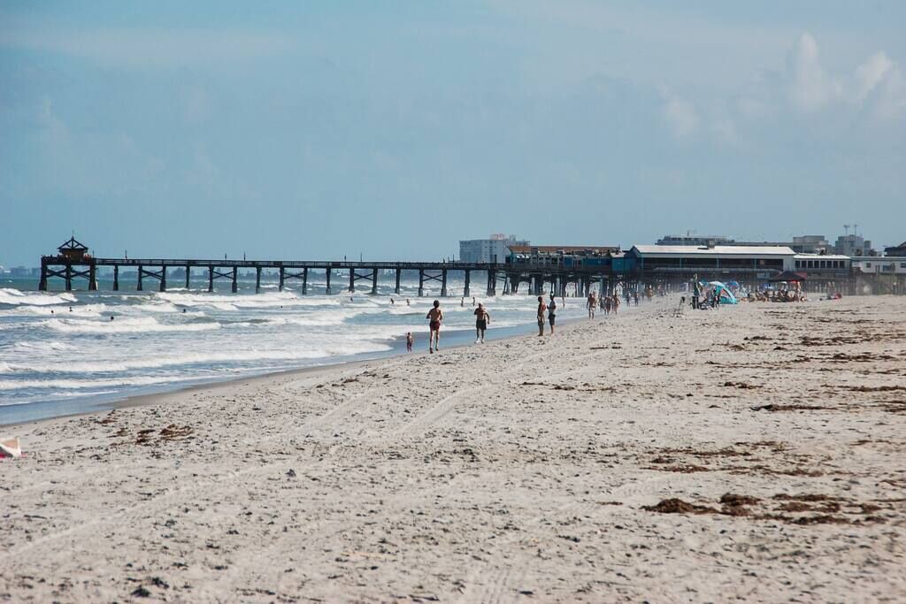 Photo of Others in Port Canaveral