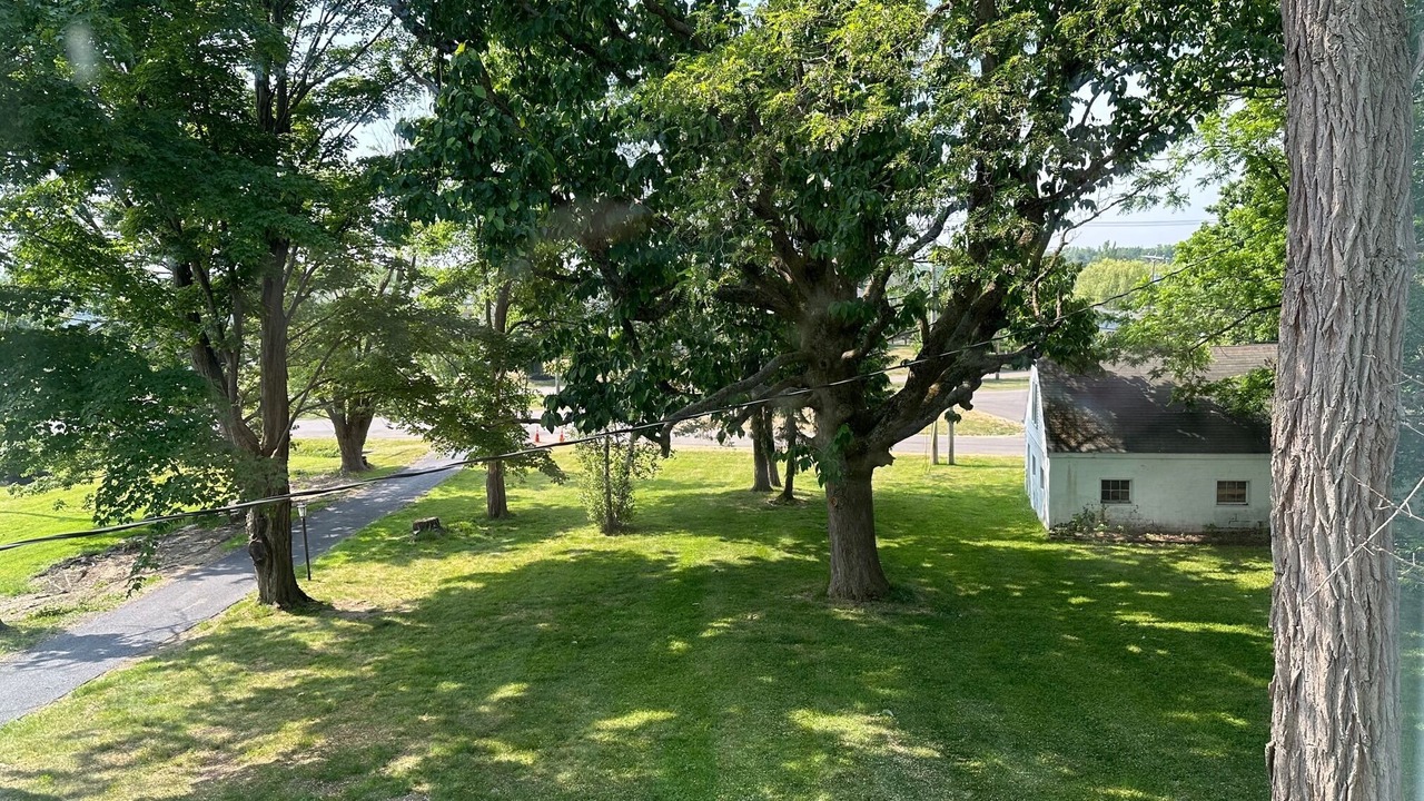Photo of Outdoor in Orchard Park