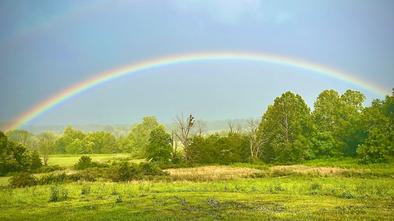 Photo of Others in Gordonsville