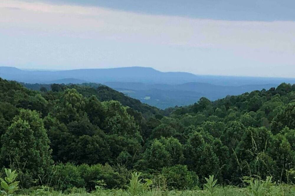 Photo of Others in Vesta
