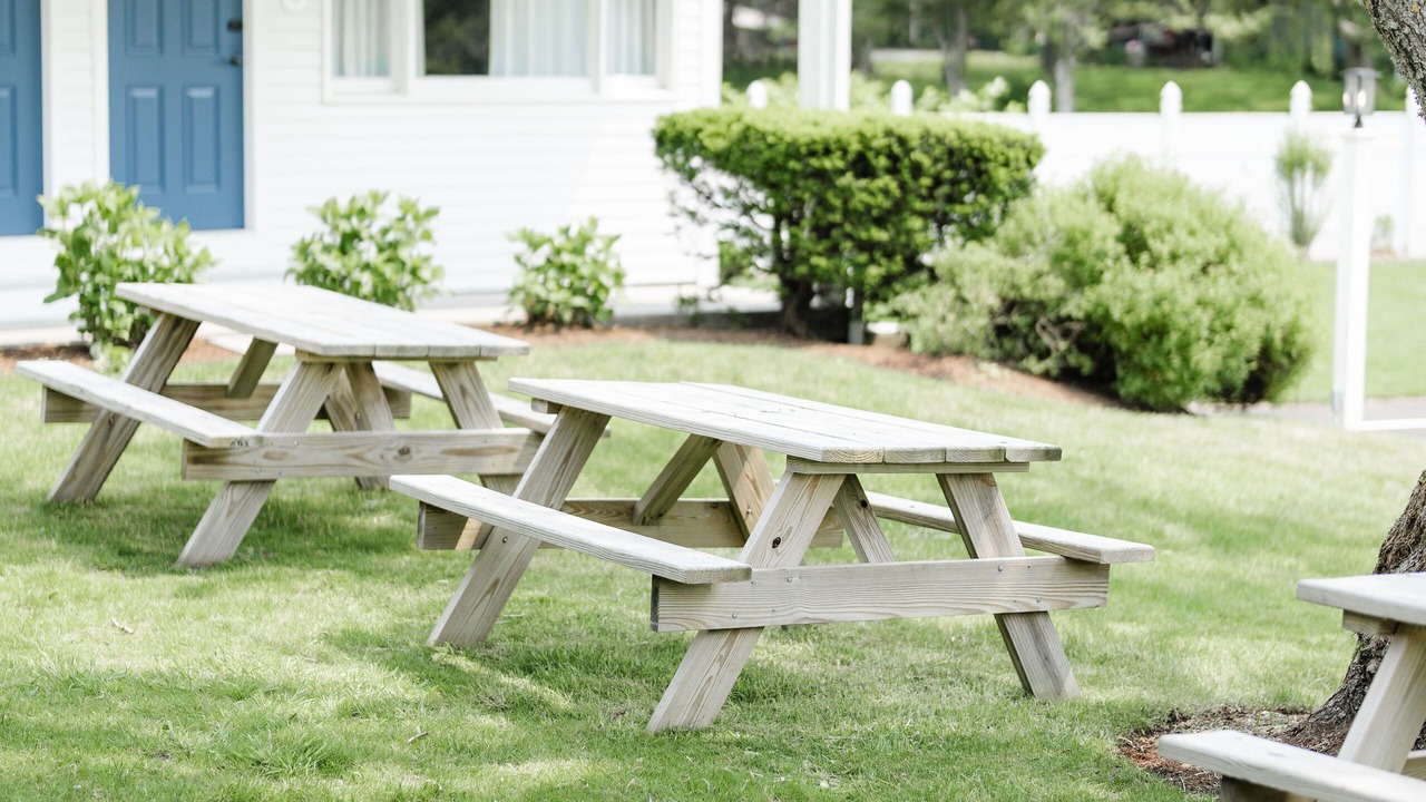Photo of Outdoor in Chatham