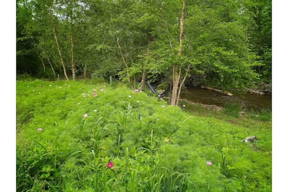 Photo of Outdoor in Peaks