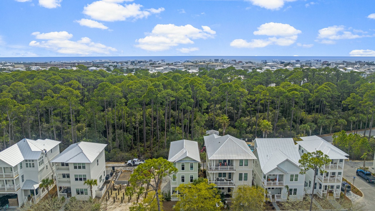 Photo of Outdoor in Treetop