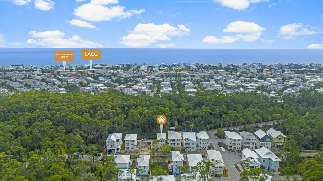 Photo of Outdoor in Treetop