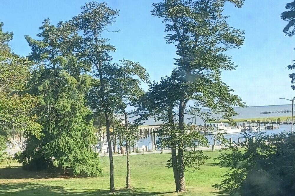 Photo of Outdoor in Quinby