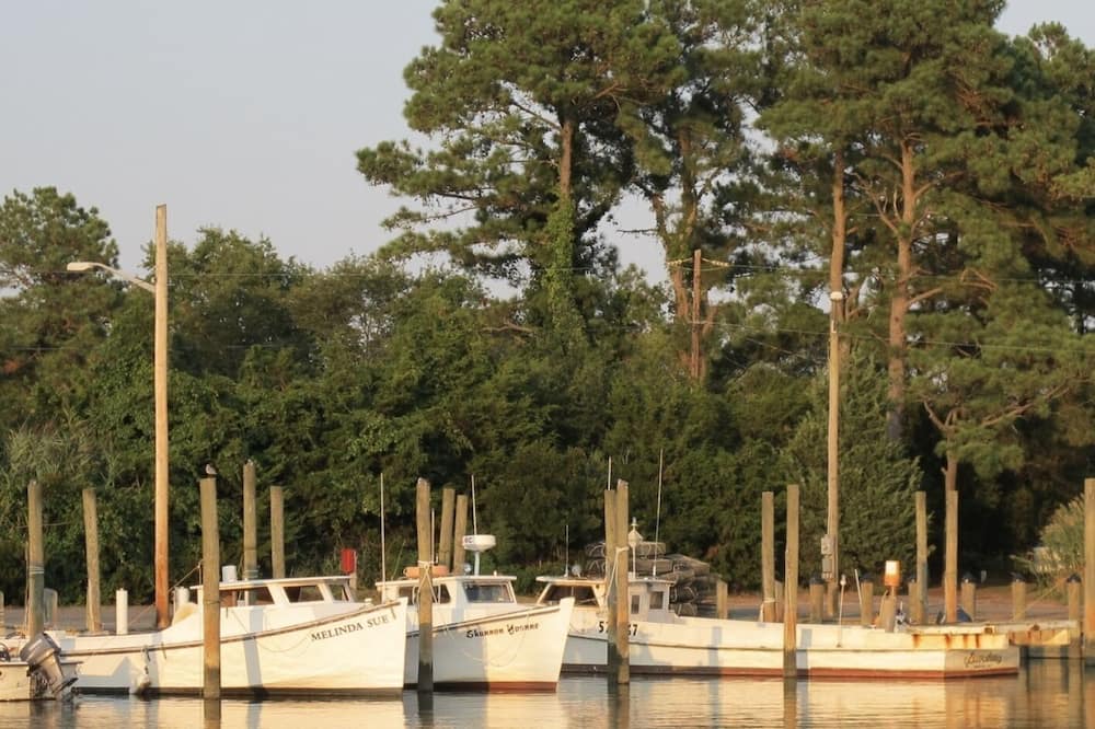 Photo of Outdoor in Quinby