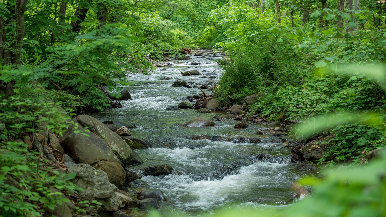 Photo of Outdoor in Peaks