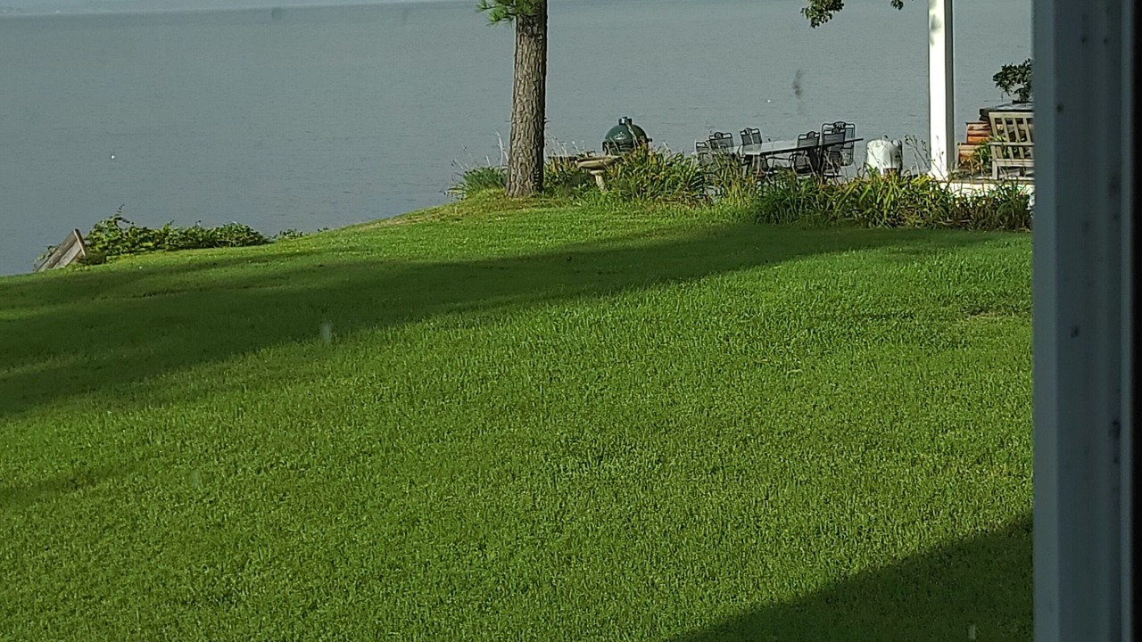 Photo of Others in Hardyville