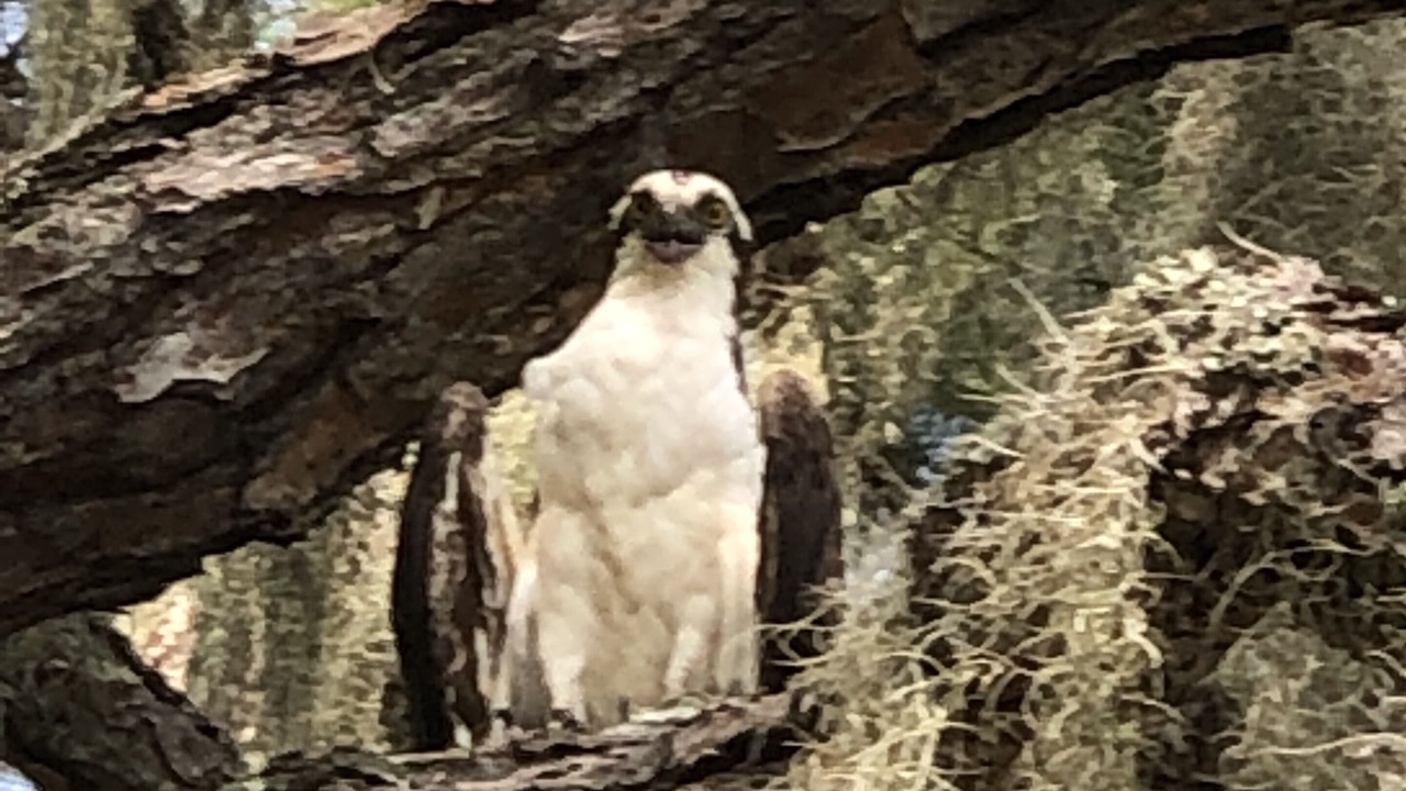 Photo of Outdoor in Lake Park