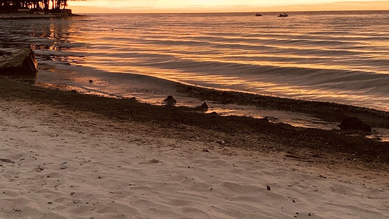 Photo of Others in Lake Erie Beach