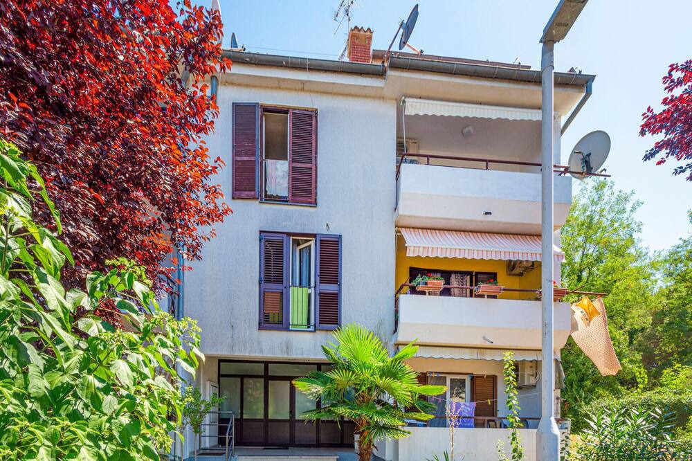 Photo of Outdoor in Spadici